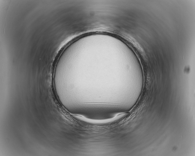 X0000098181316200805221528