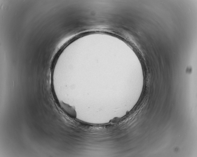 X0000098181320200805221528