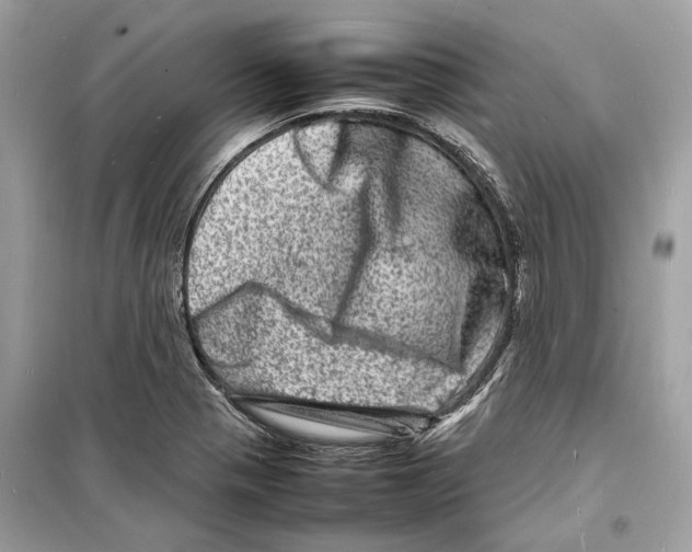 X0000098181321200805221528