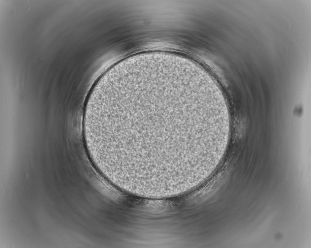 X0000098181322200805221528