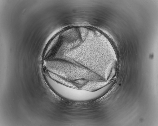 X0000098181325200805221528