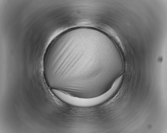 X0000098181328200805221528