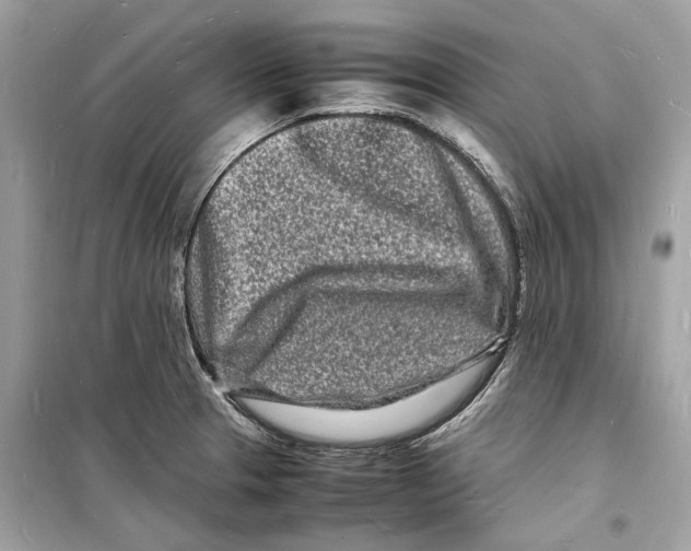 X0000098181329200805221528