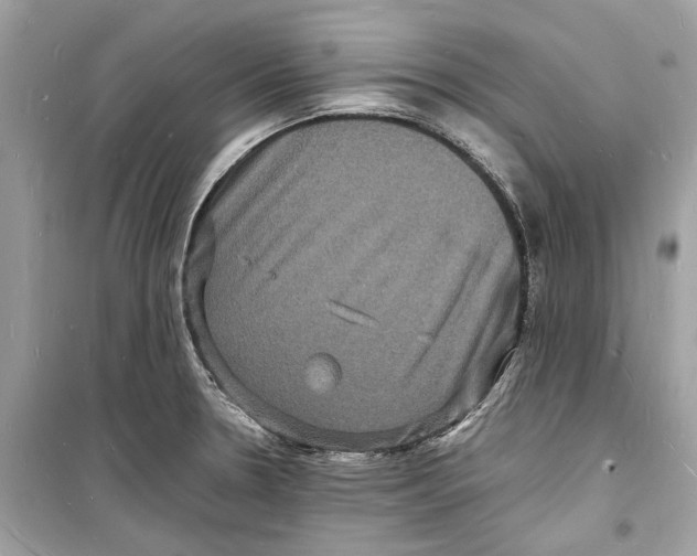 X0000098181330200805221528