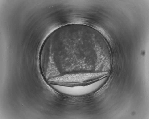 X0000098181331200805221528