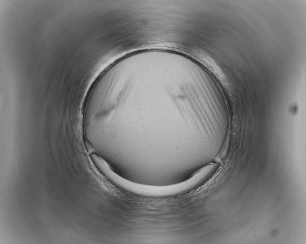 X0000098181332200805221528