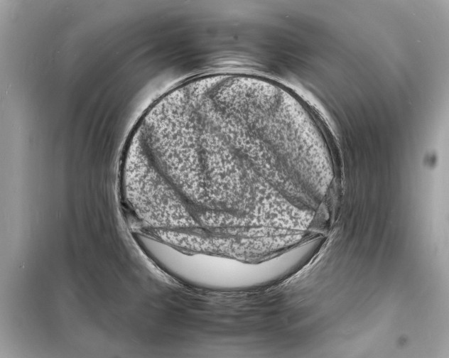 X0000098181333200805221528