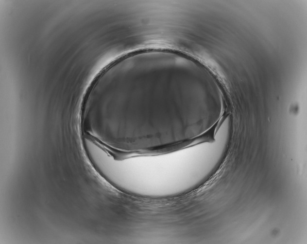 X0000098181334200805221528