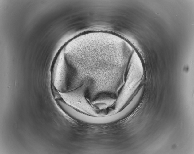 X0000098181335200805221528