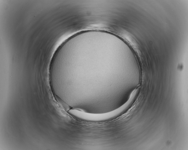 X0000098181336200805221528