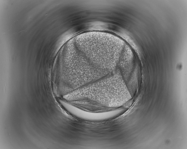 X0000098181337200805221528