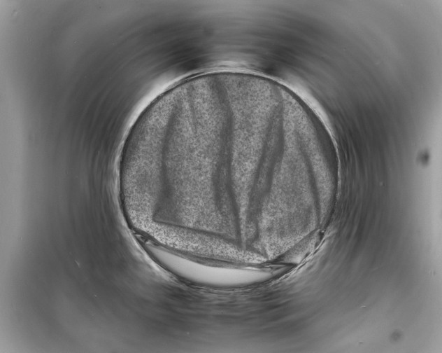 X0000098181341200805221528