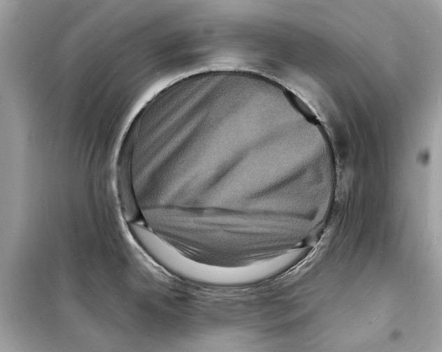 X0000098181342200805221528