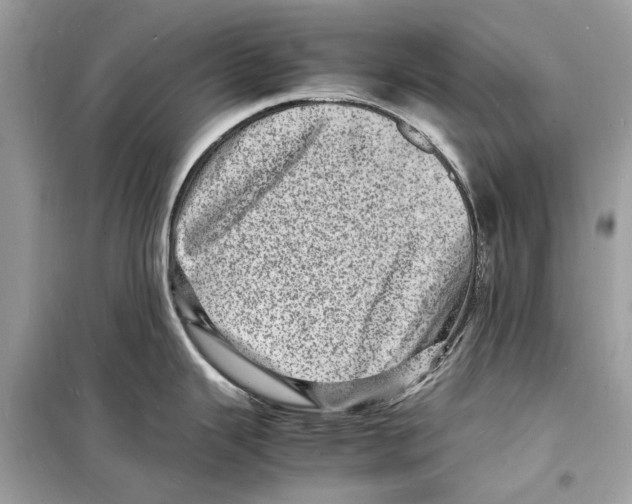 X0000098181343200805221528