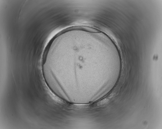 X0000098181344200805221528