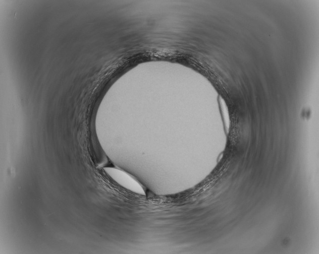 X0000098181345200805221528