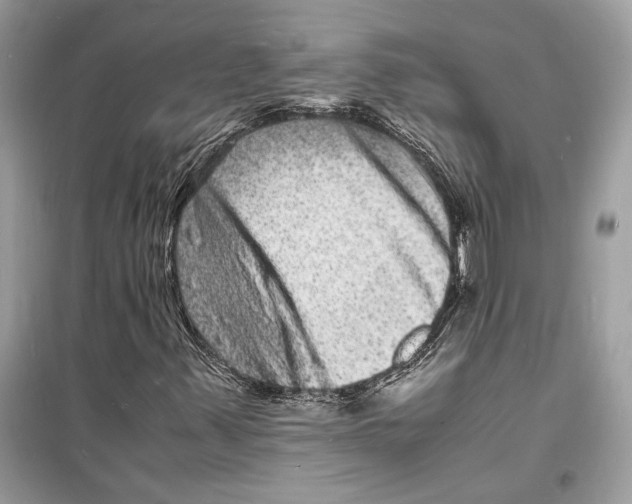 X0000098181347200805221528