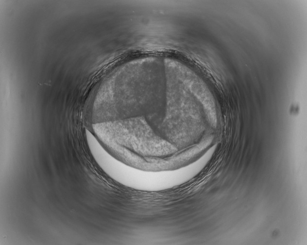 X0000098181348200805221528