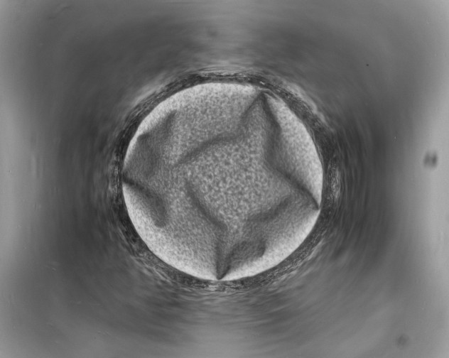 X0000098181350200805221528