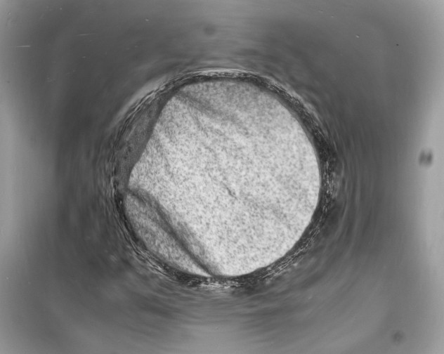 X0000098181351200805221528