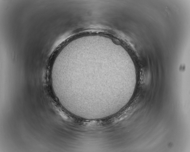 X0000098181352200805221528