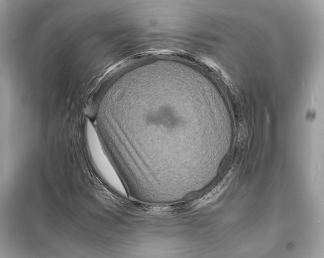 X0000098181353200805221528