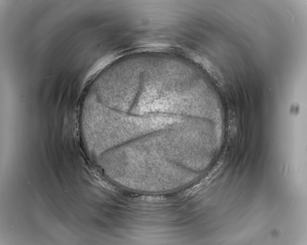 X0000098181354200805221528