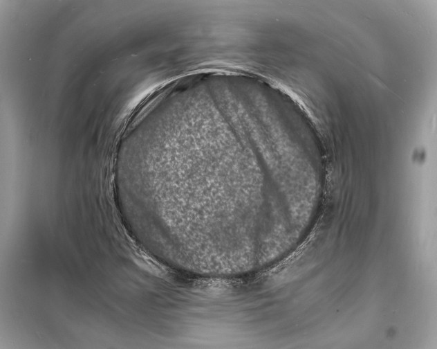 X0000098181355200805221528