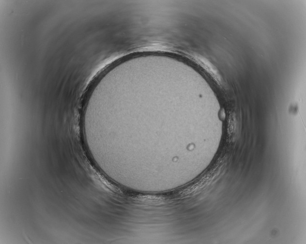 X0000098181356200805221528