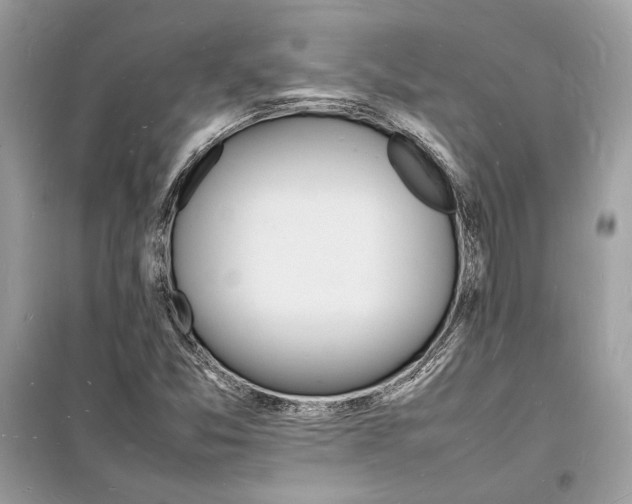 X0000098181357200805221528