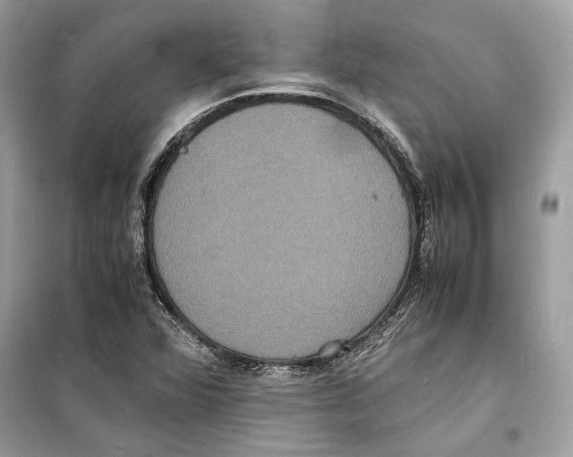 X0000098181360200805221528