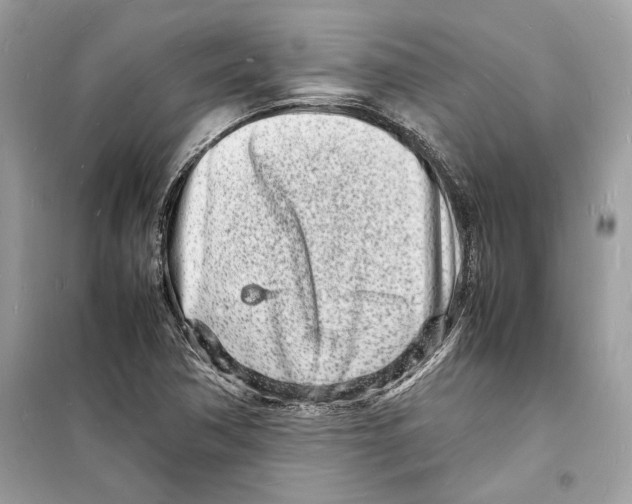 X0000098181362200805221528