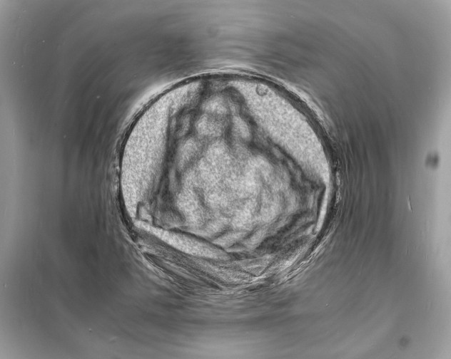 X0000098181363200805221528