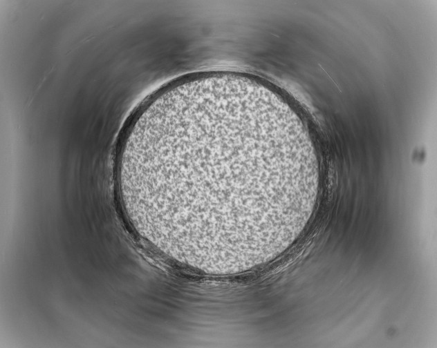 X0000098181364200805221528