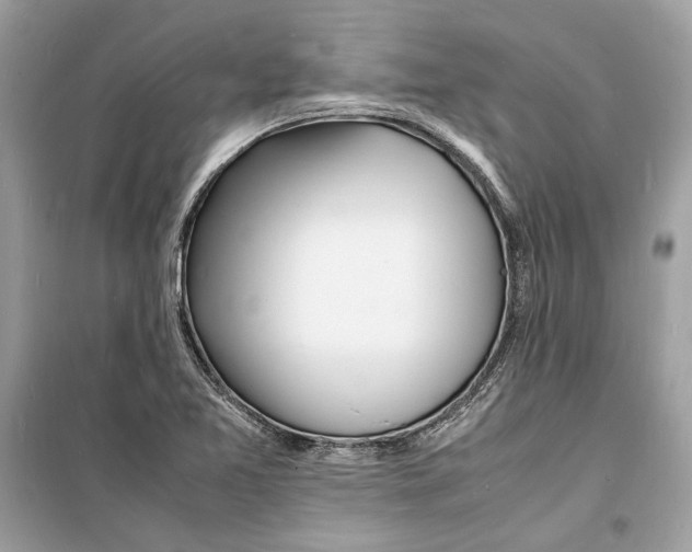 X0000098181365200805221528