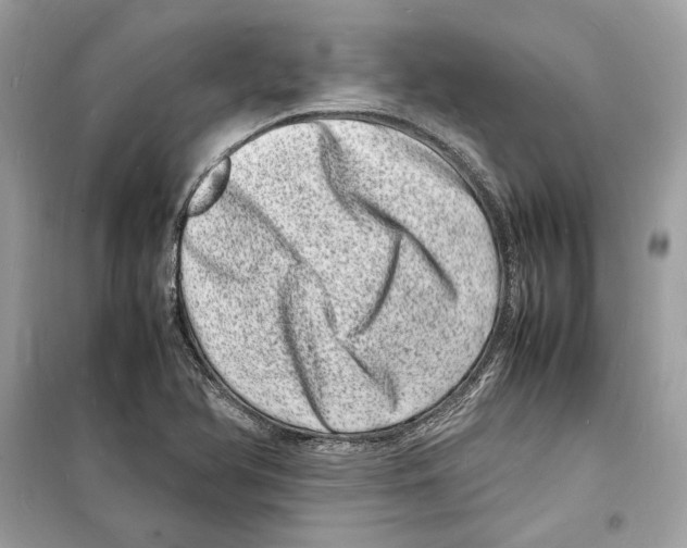 X0000098181366200805221528