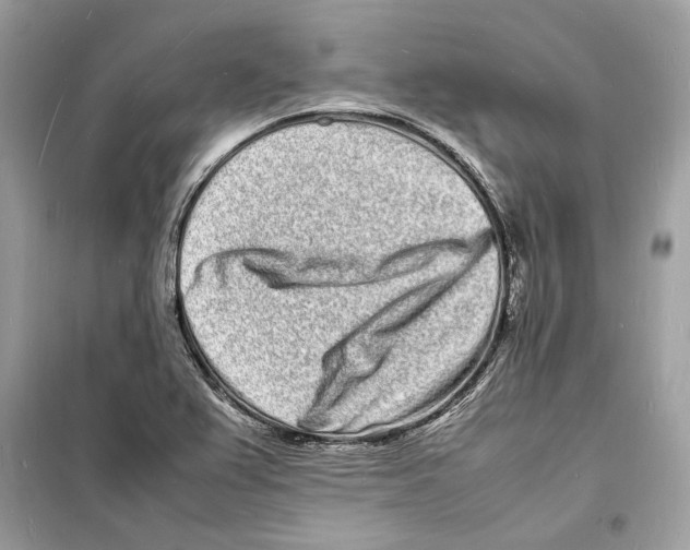 X0000098181367200805221528