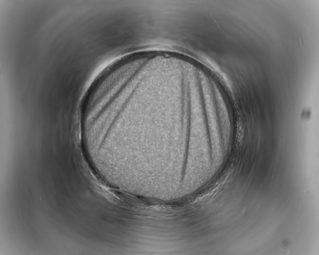 X0000098181368200805221528