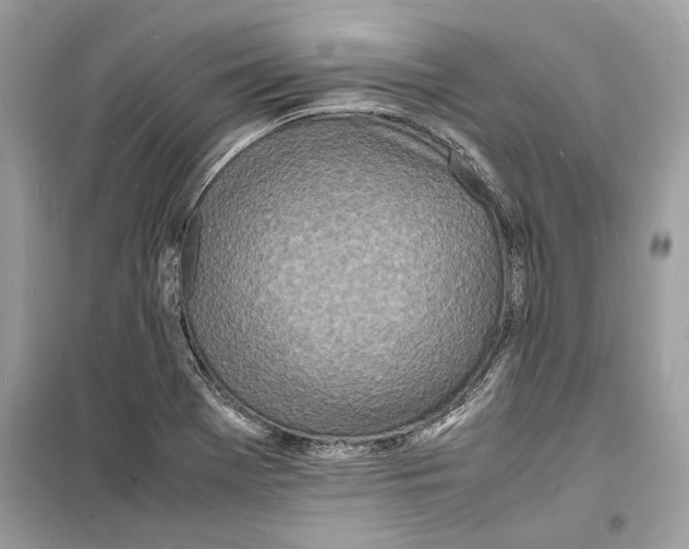 X0000098181369200805221528