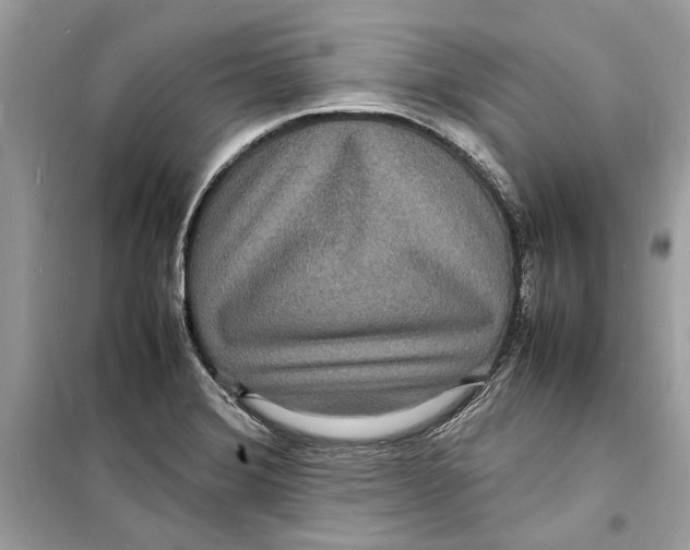 X0000098181372200805221528