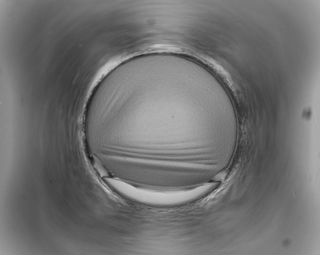 X0000098181373200805221527