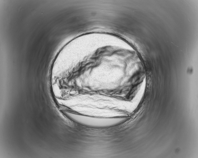 X0000098181375200805221527