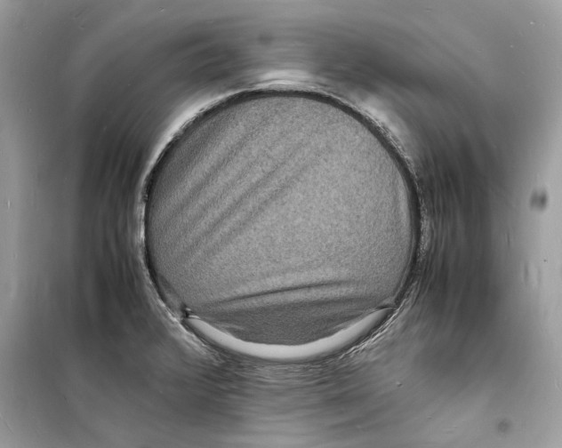 X0000098181376200805221527