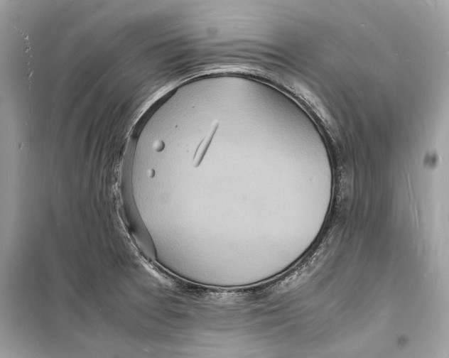 X0000098181377200805221527