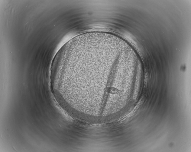 X0000098181378200805221527