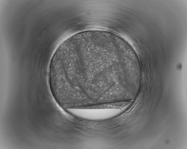 X0000098181379200805221527