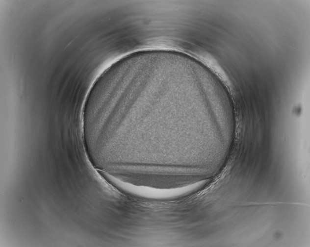 X0000098181380200805221527