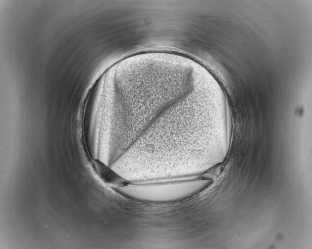 X0000098181382200805221527