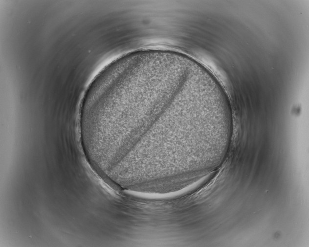 X0000098181384200805221527