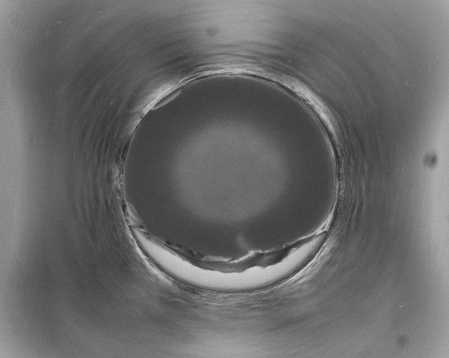 X0000098181385200805221527